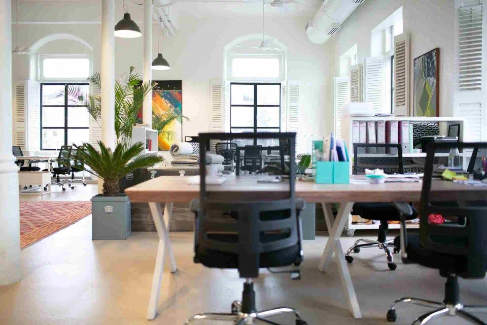 A professional workspace adorned with greenery for a refreshing touch.